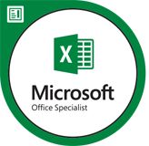 Excel Badge