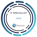 IT Specialist Java Badge